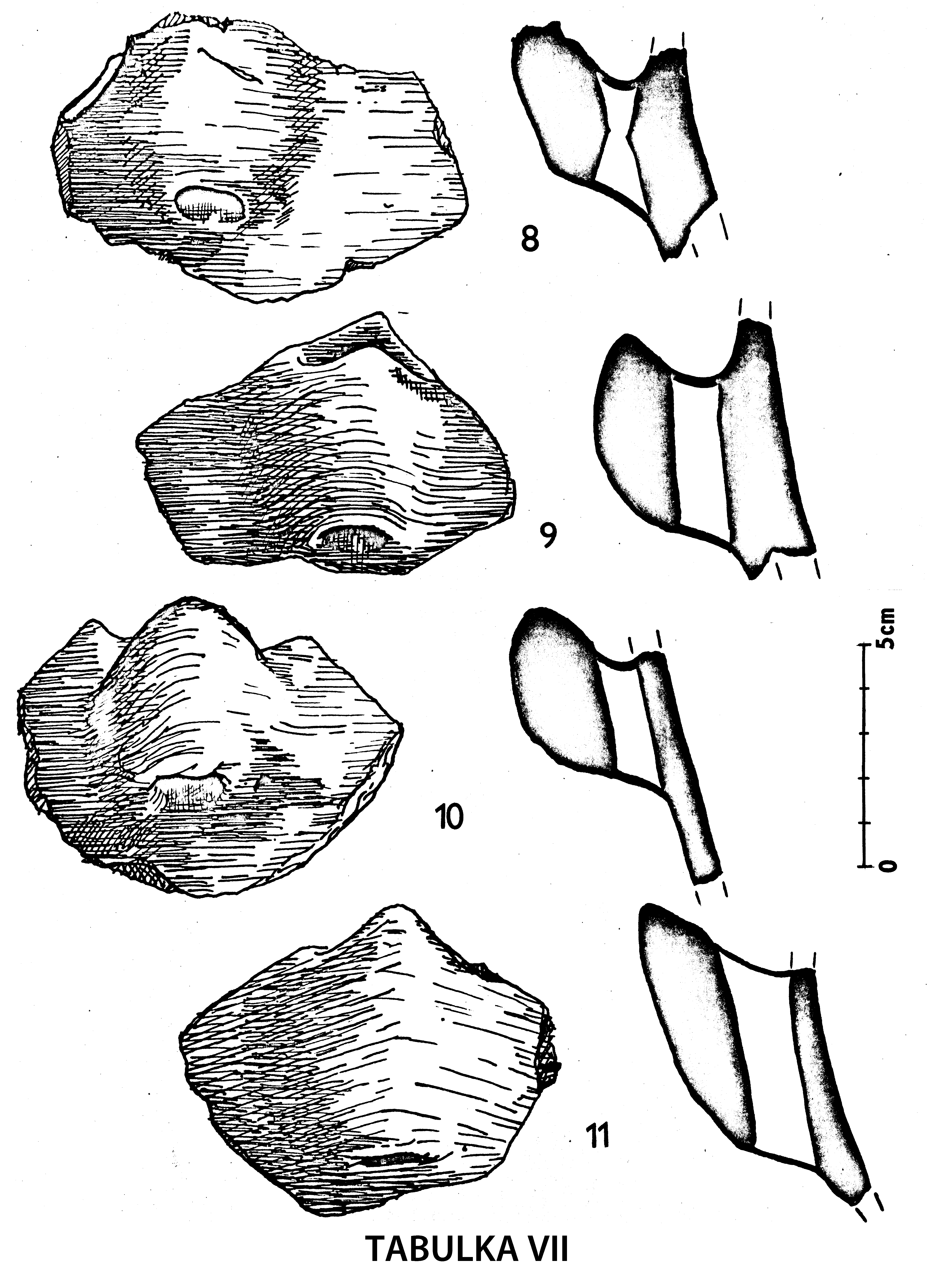 Tabulka VII