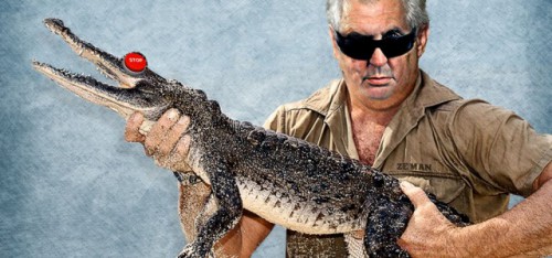 zemanaligator-640x300-1-.jpg