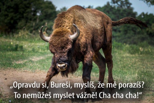 byk-pustte-me-na-nej-s-textem.jpg