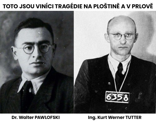 pawlofski-tutter.jpg